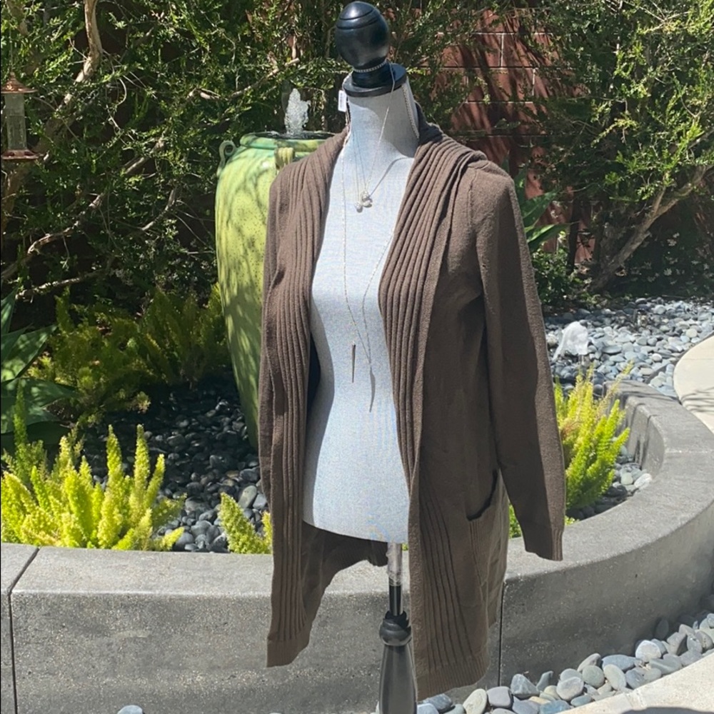 Verve Ami Hooded Sweater